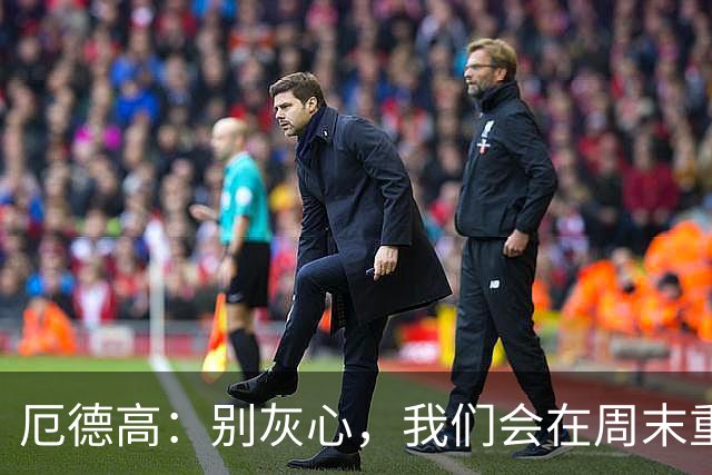 厄德高：别灰心，我们会在周末重整旗鼓！